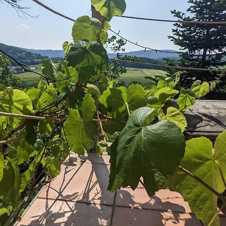 Waldphantasia - Nationalpark Eifel - Jakuzzi Mit Fernblick - Steilhang - Naturlage * Nideggen
