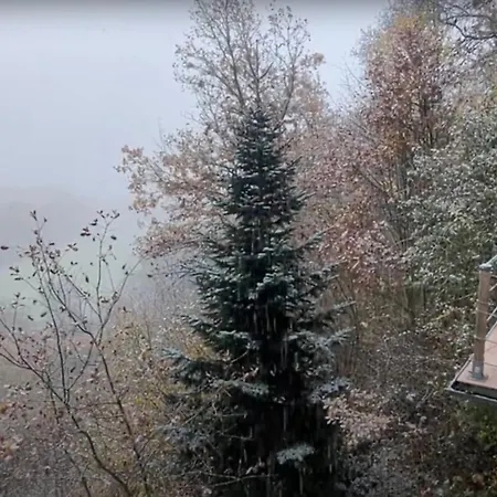 Waldphantasia - Nationalpark Eifel - Jakuzzi Mit Fernblick - Steilhang - Naturlage Chalet Nideggen