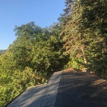 Waldphantasia - Nationalpark Eifel - Jakuzzi Mit Fernblick - Steilhang - Naturlage