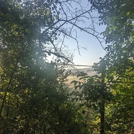 Waldphantasia - Nationalpark Eifel - Jakuzzi Mit Fernblick - Steilhang - Naturlage Chalet Nideggen