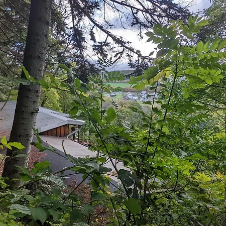 Chalet Waldphantasia - Nationalpark Eifel - Jakuzzi Mit Fernblick - Steilhang - Naturlage