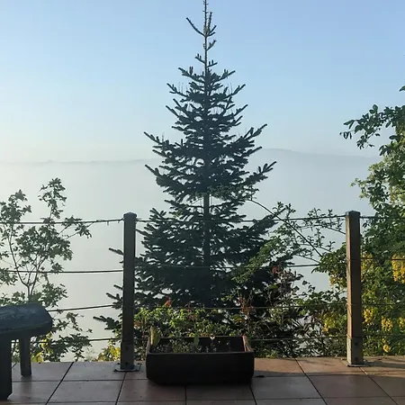 Waldphantasia - Nationalpark Eifel - Jakuzzi Mit Fernblick - Steilhang - Naturlage * Nideggen