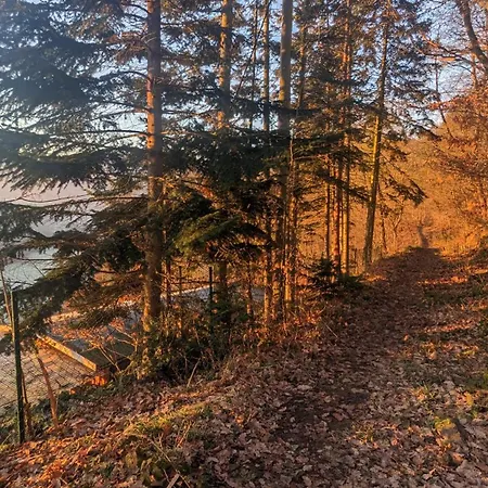 Waldphantasia - Nationalpark Eifel - Jakuzzi Mit Fernblick - Steilhang - Naturlage