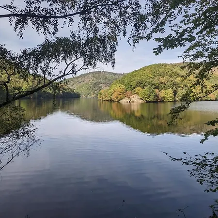 Waldphantasia - Nationalpark Eifel - Jakuzzi Mit Fernblick - Steilhang - Naturlage Chalet