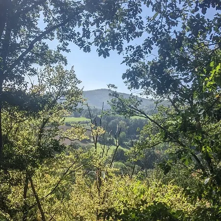 Waldphantasia - Nationalpark Eifel - Jakuzzi Mit Fernblick - Steilhang - Naturlage