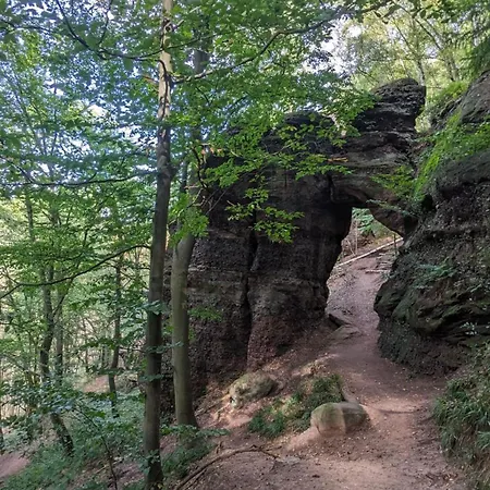 Waldphantasia - Nationalpark Eifel - Jakuzzi Mit Fernblick - Steilhang - Naturlage * Nideggen