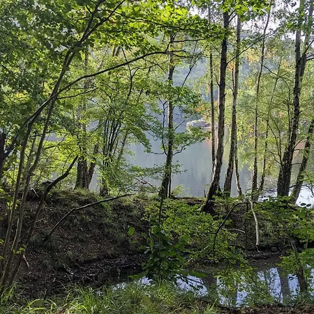 Waldphantasia - Nationalpark Eifel - Jakuzzi Mit Fernblick - Steilhang - Naturlage Chalet