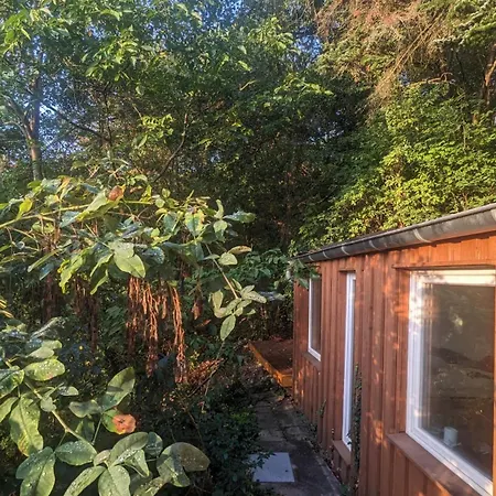 Chalet Waldphantasia - Nationalpark Eifel - Jakuzzi Mit Fernblick - Steilhang - Naturlage *