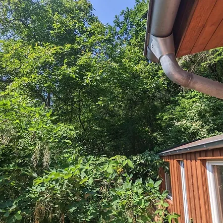 Waldphantasia - Nationalpark Eifel - Jakuzzi Mit Fernblick - Steilhang - Naturlage