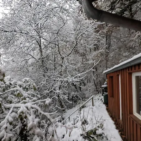 Waldphantasia - Nationalpark Eifel - Jakuzzi Mit Fernblick - Steilhang - Naturlage Chalet