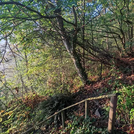 Waldphantasia - Nationalpark Eifel - Jakuzzi Mit Fernblick - Steilhang - Naturlage Chalet