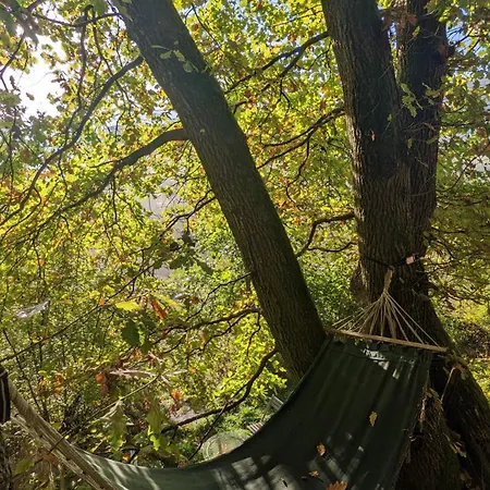 Waldphantasia - Nationalpark Eifel - Jakuzzi Mit Fernblick - Steilhang - Naturlage Chalet Nideggen