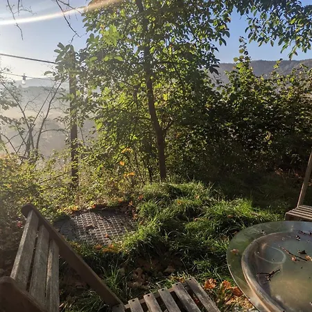Waldphantasia - Nationalpark Eifel - Jakuzzi Mit Fernblick - Steilhang - Naturlage Chalet