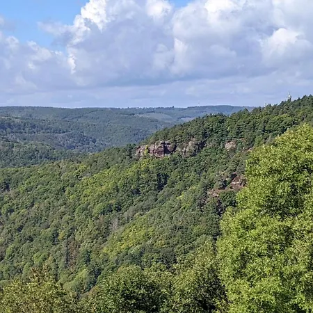 Waldphantasia - Nationalpark Eifel - Jakuzzi Mit Fernblick - Steilhang - Naturlage Chalet