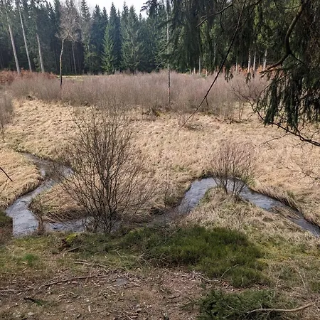 Waldphantasia - Nationalpark Eifel - Jakuzzi Mit Fernblick - Steilhang - Naturlage * Nideggen