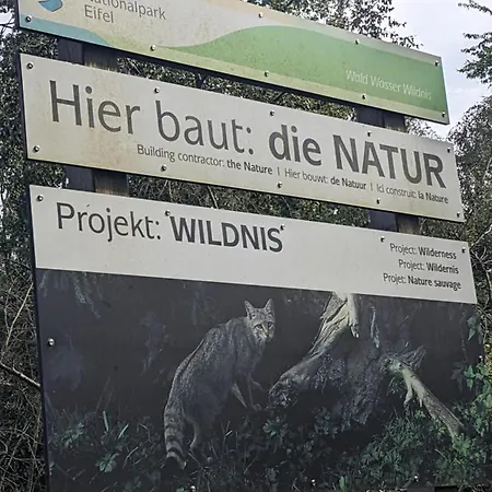 Waldphantasia - Nationalpark Eifel - Jakuzzi Mit Fernblick - Steilhang - Naturlage Chalet