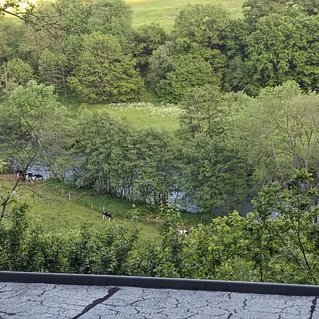 Waldphantasia - Nationalpark Eifel - Jakuzzi Mit Fernblick - Steilhang - Naturlage