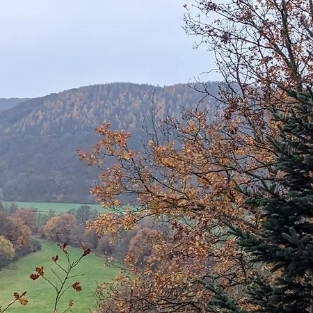 Chalet Waldphantasia - Nationalpark Eifel - Jakuzzi Mit Fernblick - Steilhang - Naturlage Nideggen